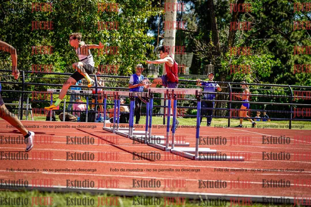 Fotos de los 110 m con vallas de varones