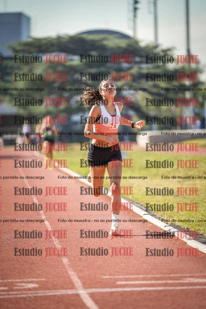 Fotos de los 800 m llanos de mujeres