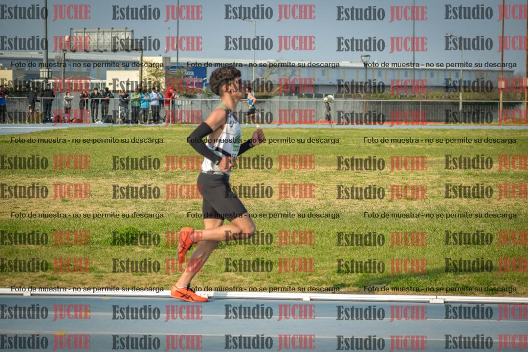 Fotos de los 3000 m llanos de varones
