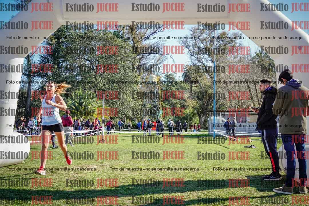 Fotos de la llegada del cross de 6000 m