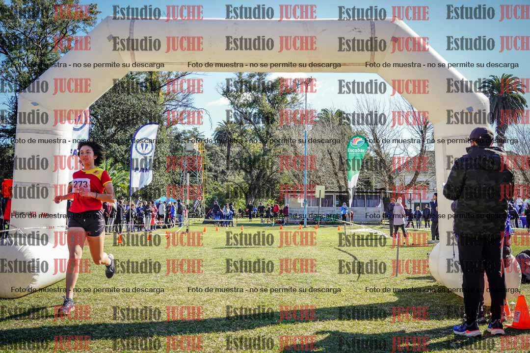 Fotos de la llegada del cross de 2000 m