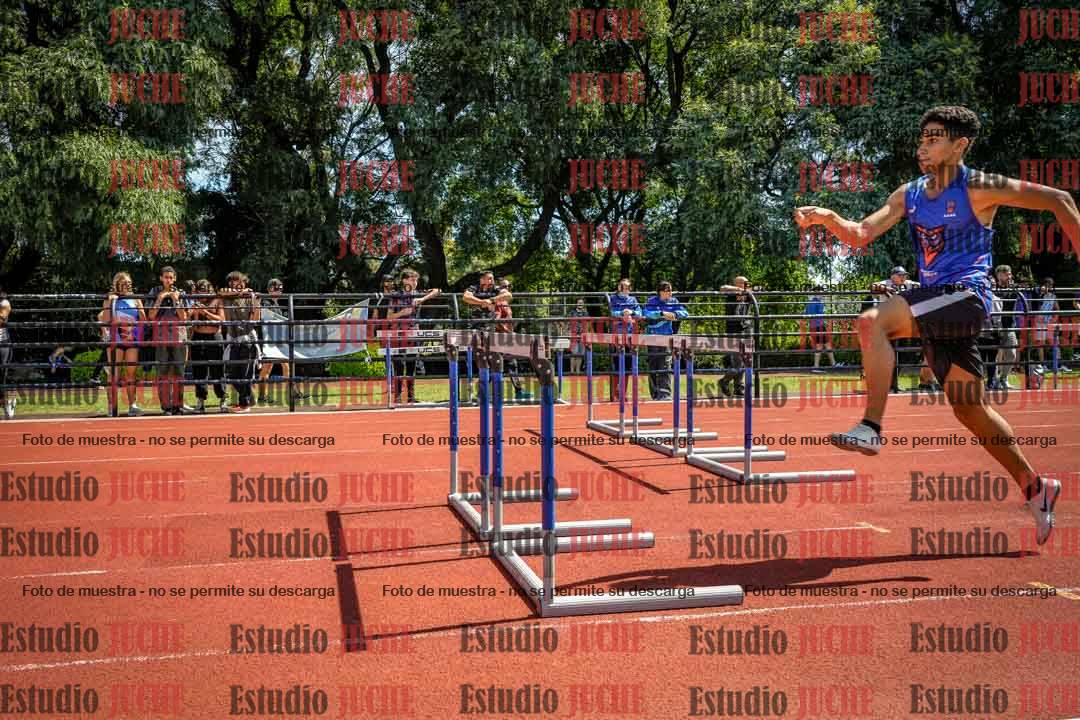 Fotos de los 110 m con vallas de varones