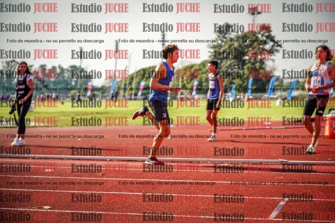 Fotos de los 800 m llanos de varones