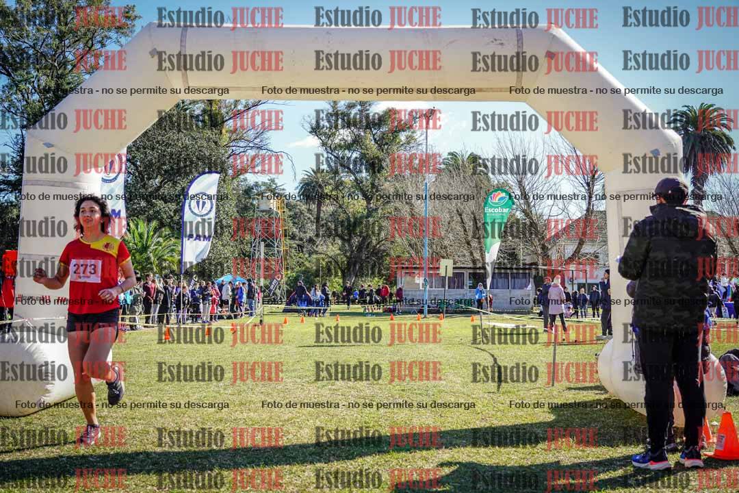 Fotos de la llegada del cross de 2000 m