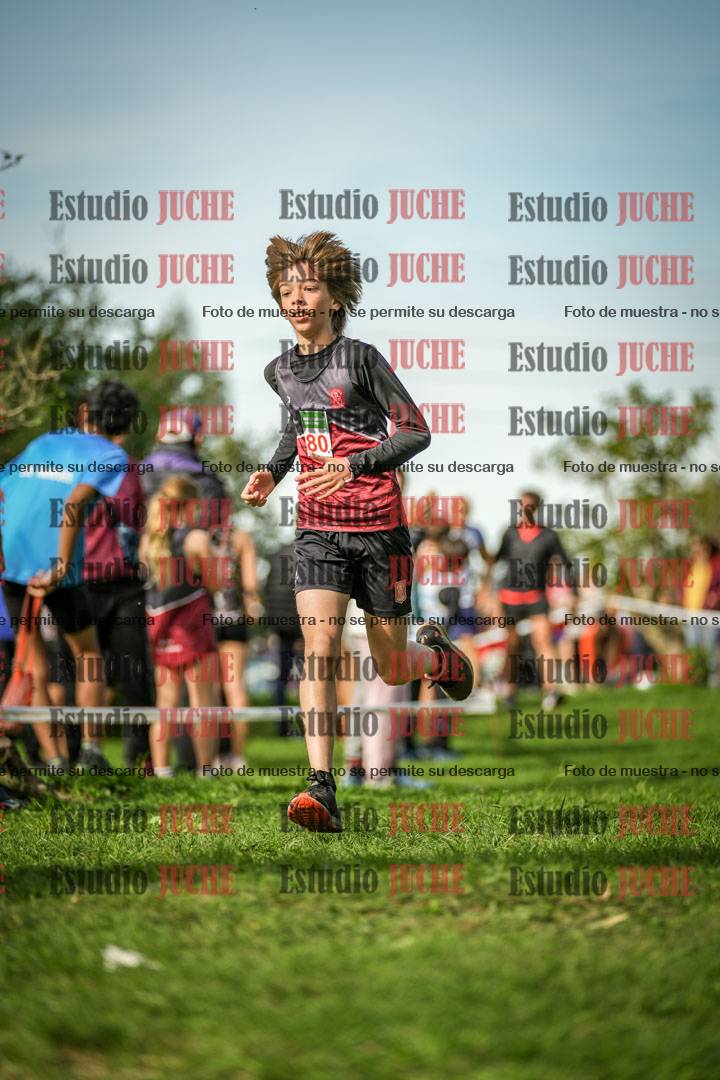 Fotos de la llegada del cross de 1500 m