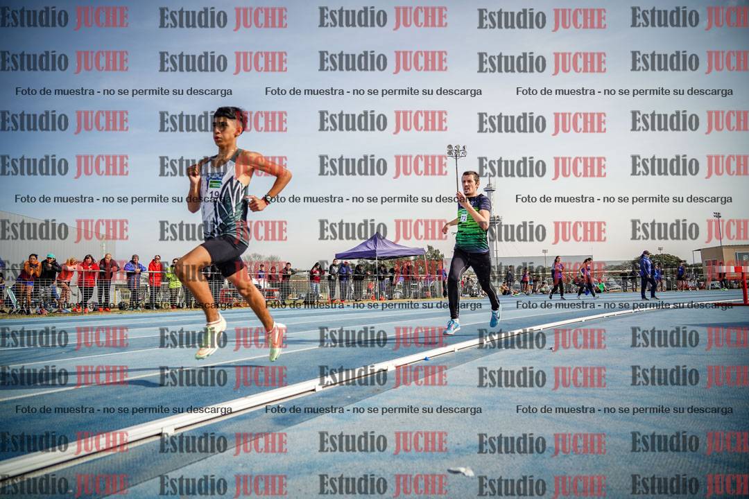 Fotos de los 800 m llanos de varones