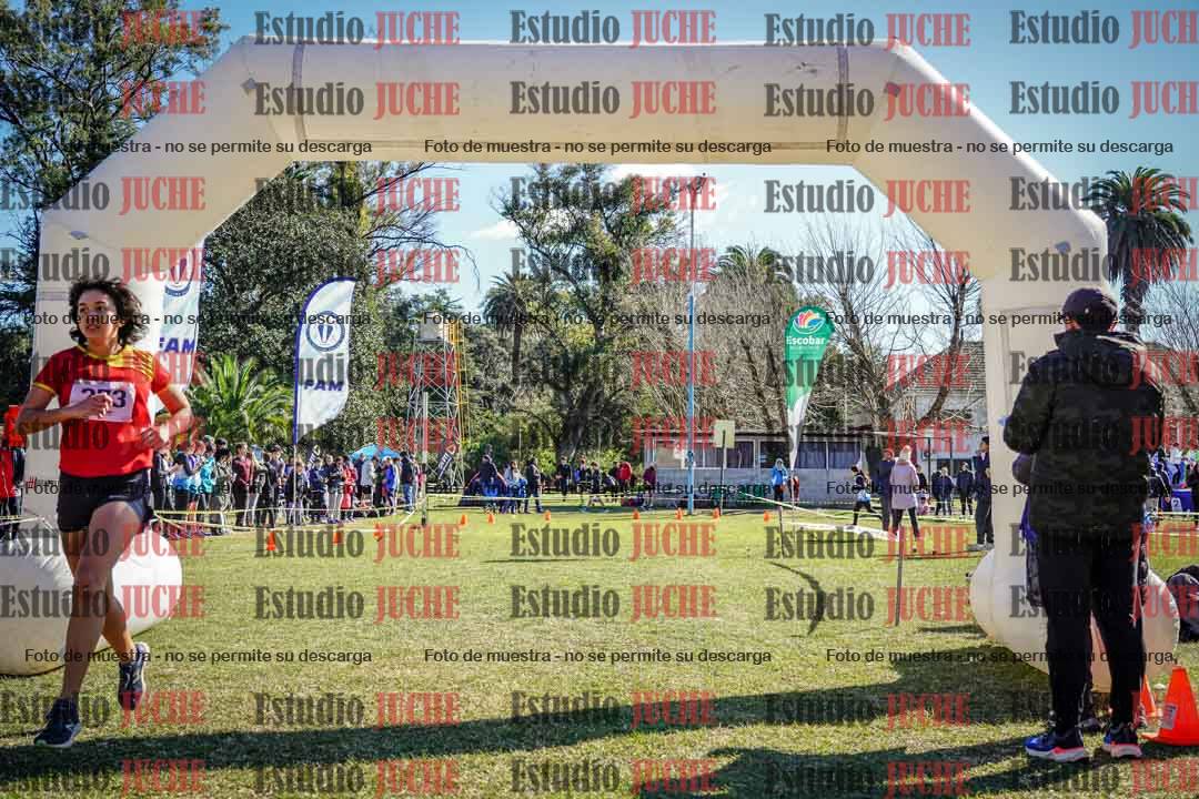 Fotos de la llegada del cross de 2000 m