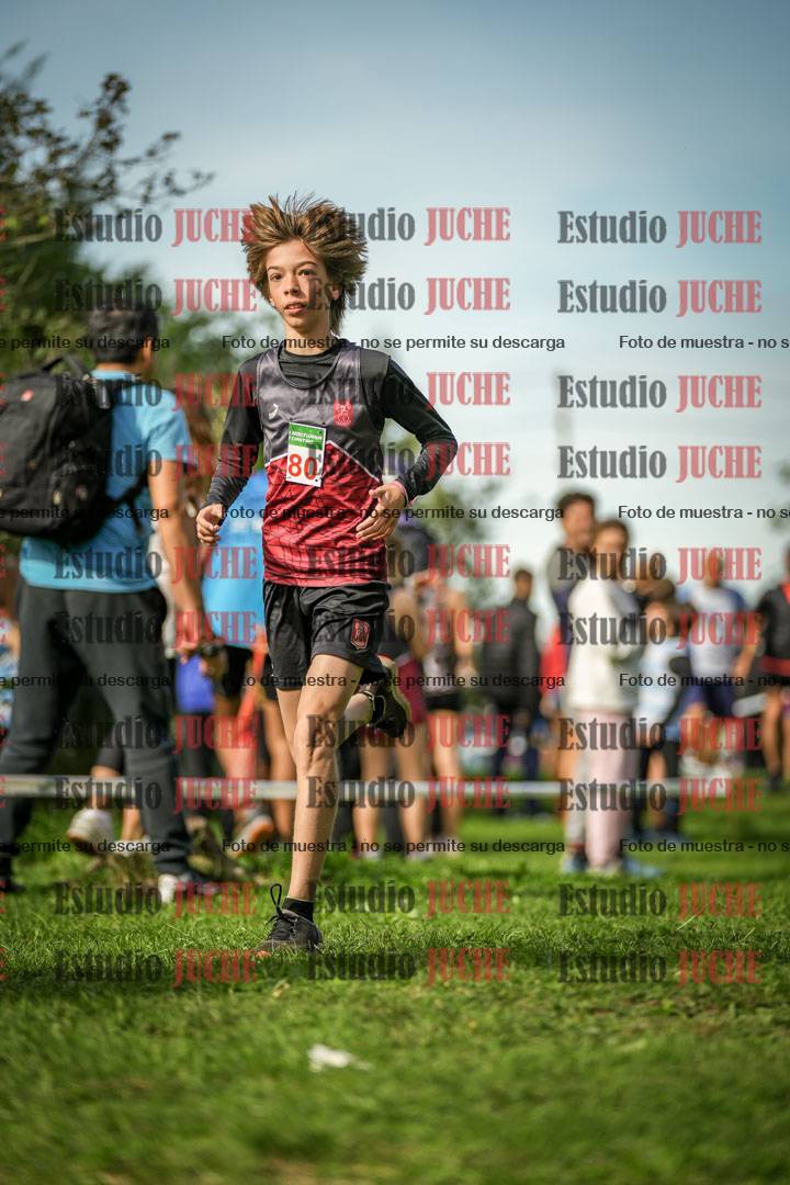 Fotos de la llegada del cross de 1500 m