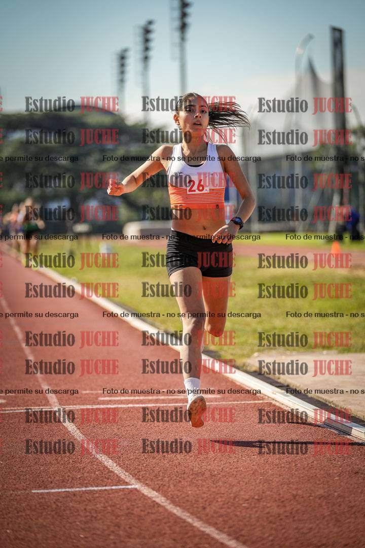 Fotos de los 800 m llanos de mujeres