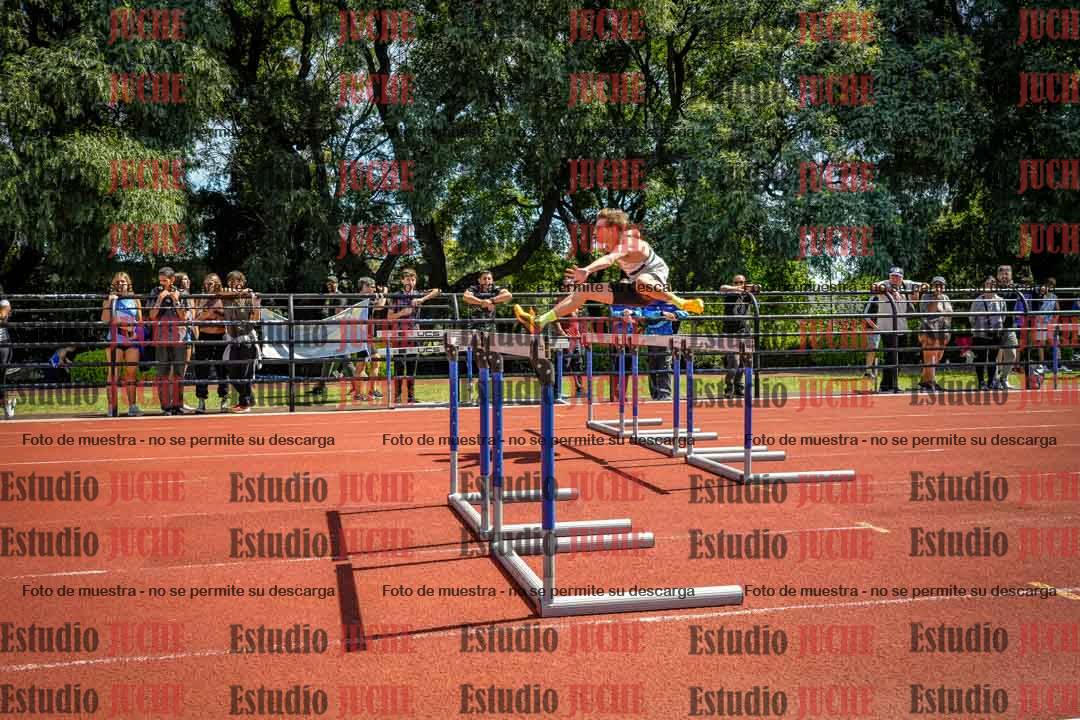 Fotos de los 110 m con vallas de varones