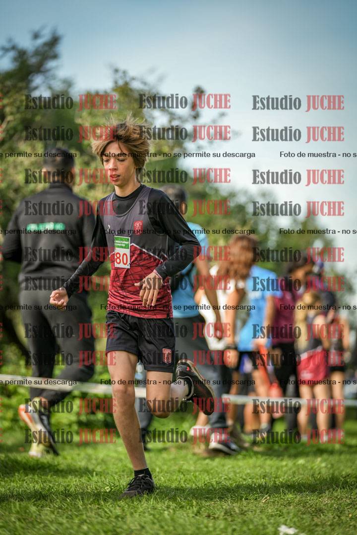 Fotos de la llegada del cross de 1500 m