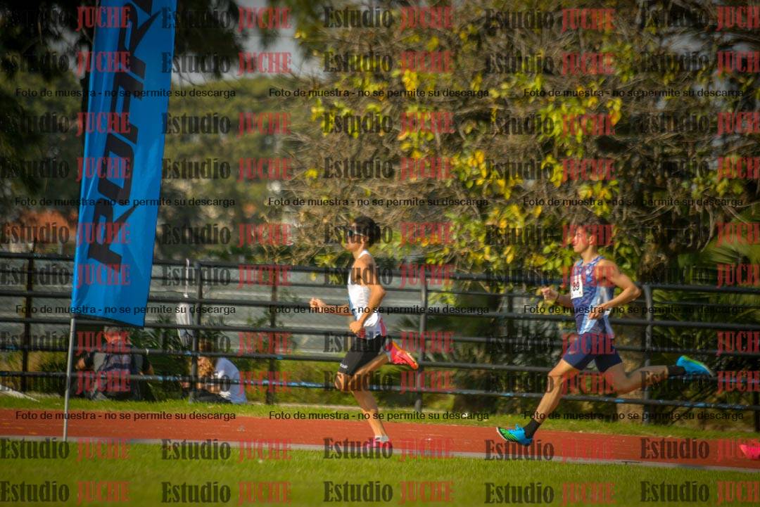 Fotos de los 800 m llanos de varones