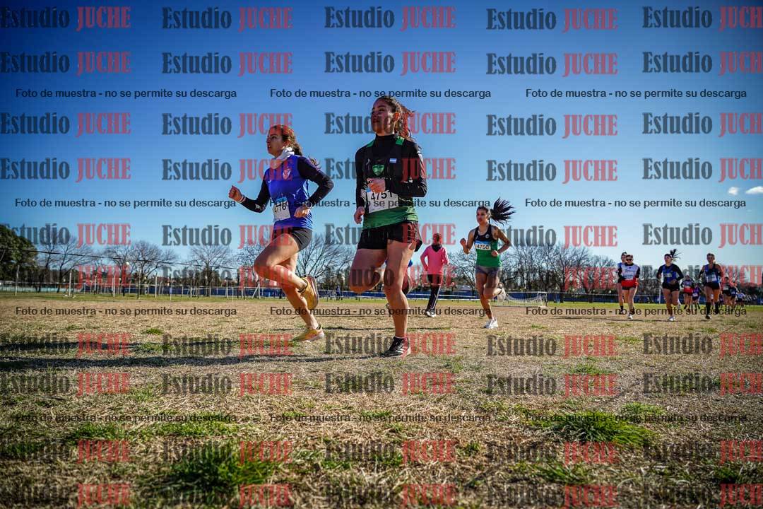 Fotos en el circuito