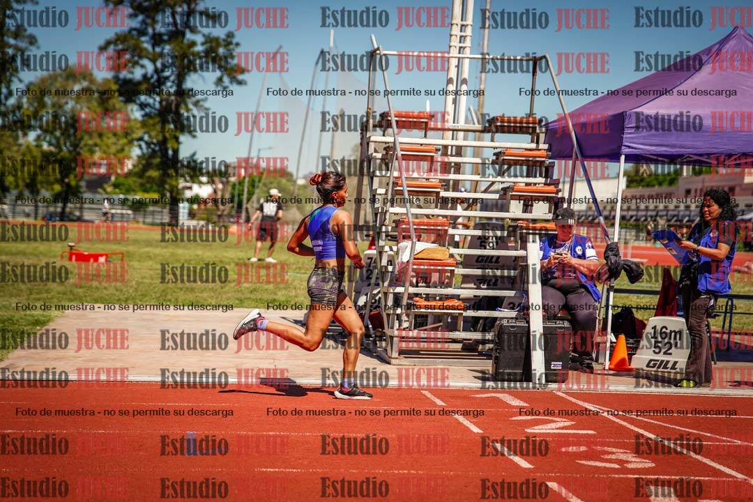 Fotos de los 800 m llanos de mujeres