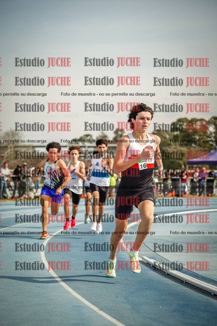 Fotos de los 800 m llanos de varones