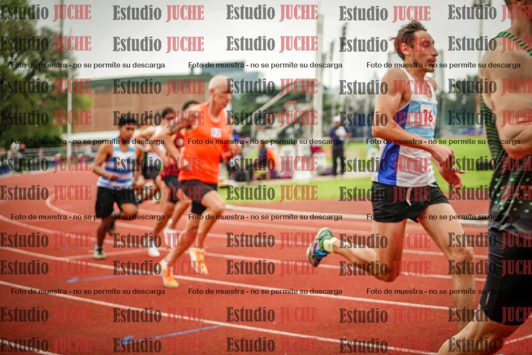 Fotos de los 800 m llanos de varones