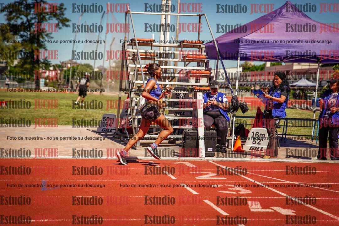 Fotos de los 800 m llanos de mujeres