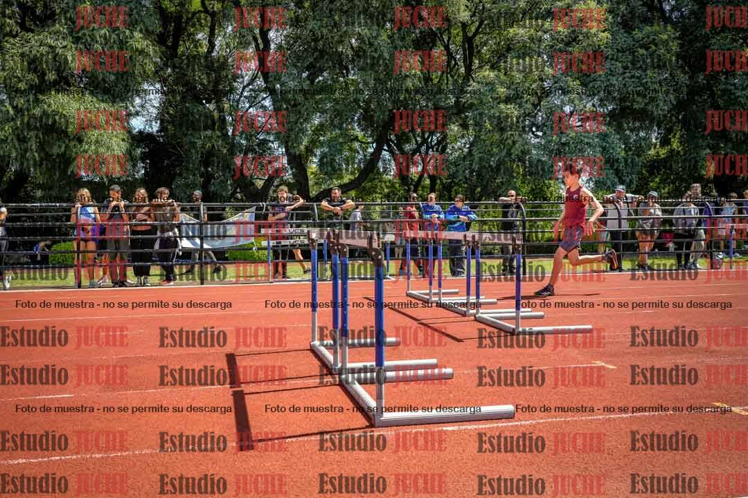 Fotos de los 110 m con vallas de varones