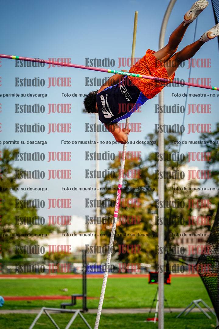 Fotos del salto con garrocha de mujeres y varones