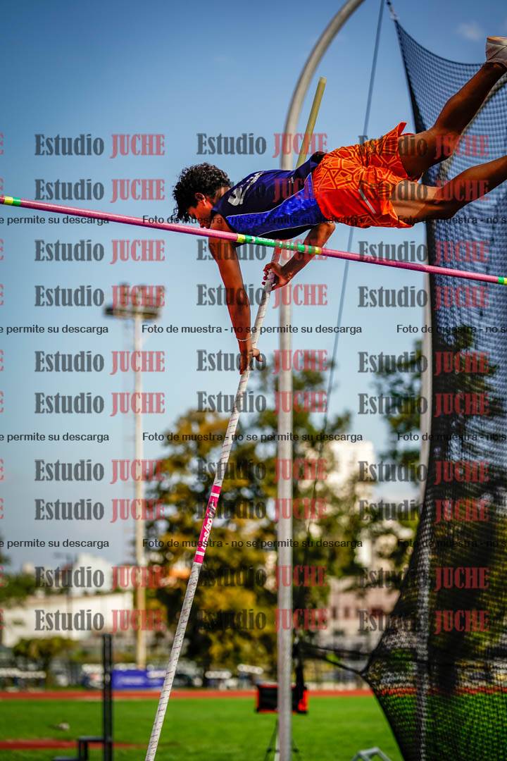 Fotos del salto con garrocha de mujeres y varones