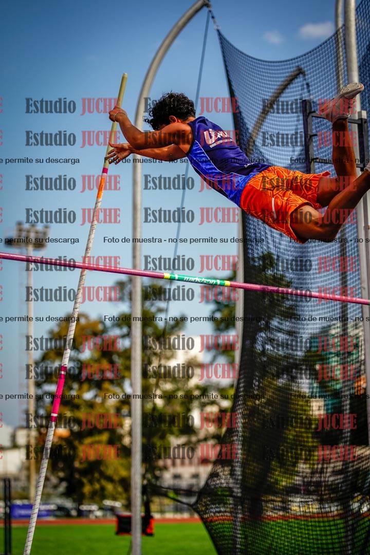 Fotos del salto con garrocha de mujeres y varones