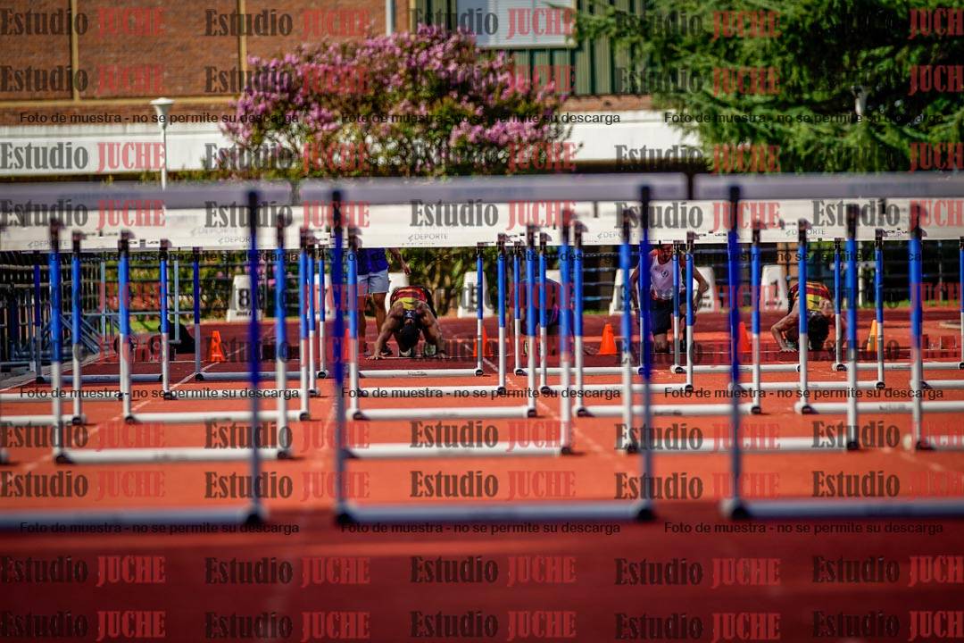Fotos de los 60 m con vallas de varones