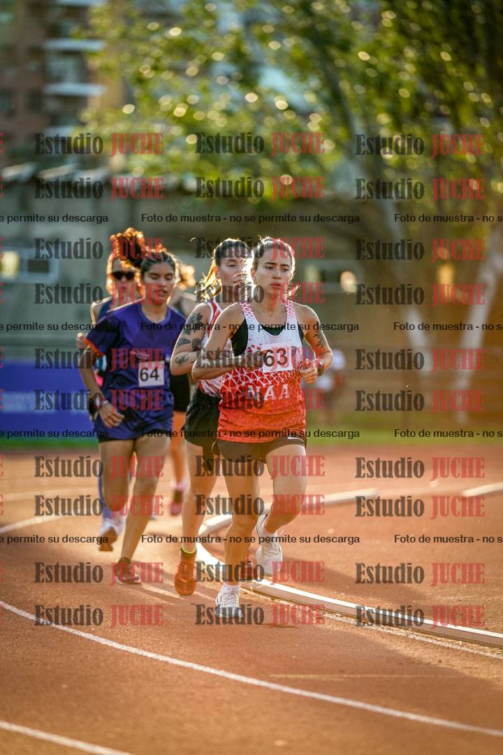 Fotos de los 1500 m llanos de mujeres