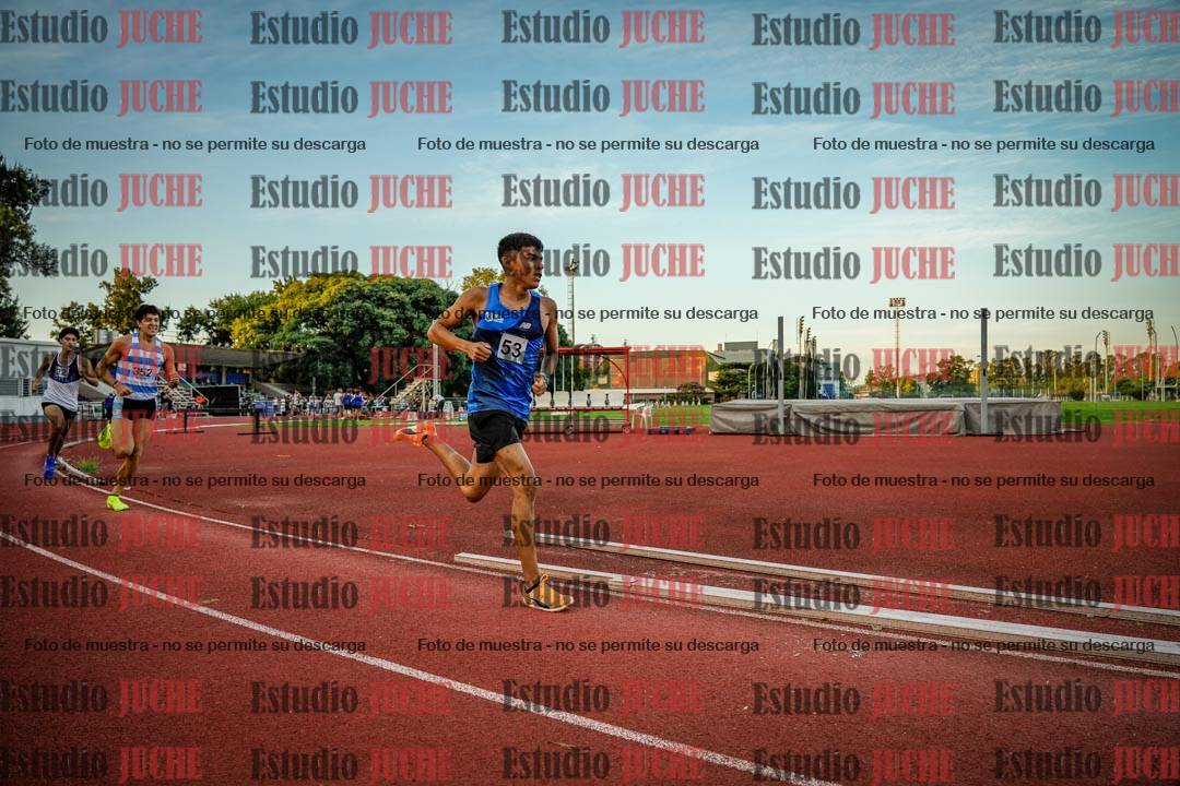 Fotos de los 1500 m llanos de varones
