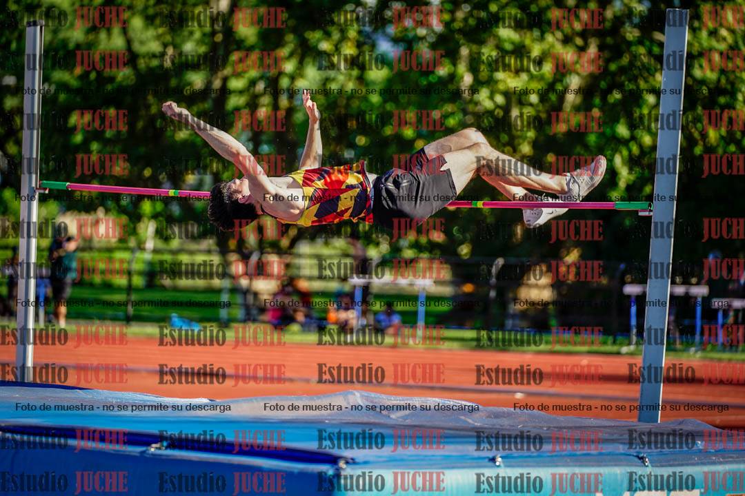 Fotos del salto en alto de varones