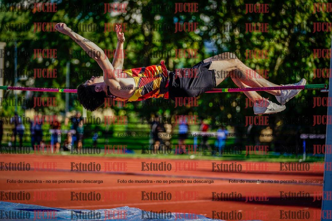 Fotos del salto en alto de varones