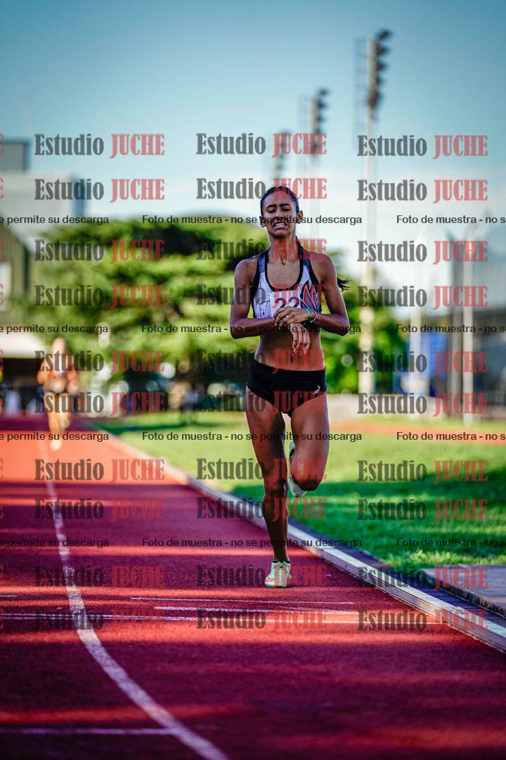 Fotos de los 800 m llanos de mujeres