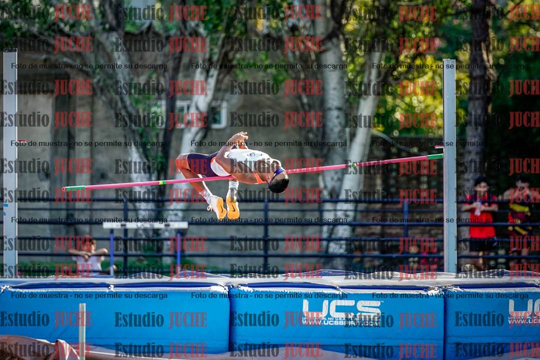 Fotos del salto en alto de varones