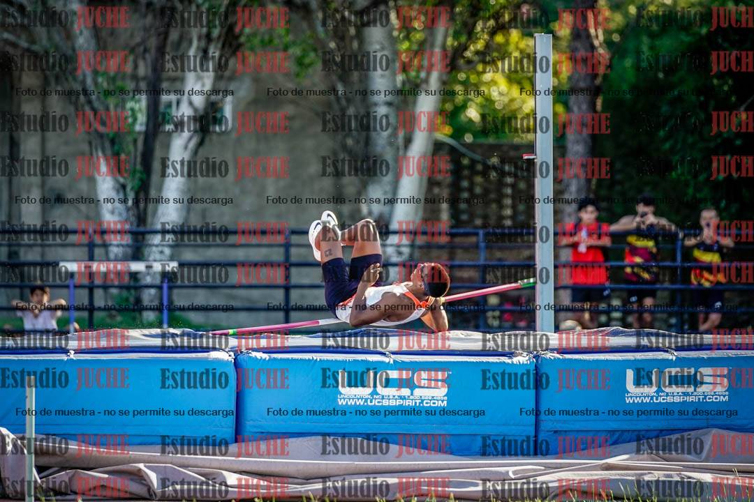 Fotos del salto en alto de varones