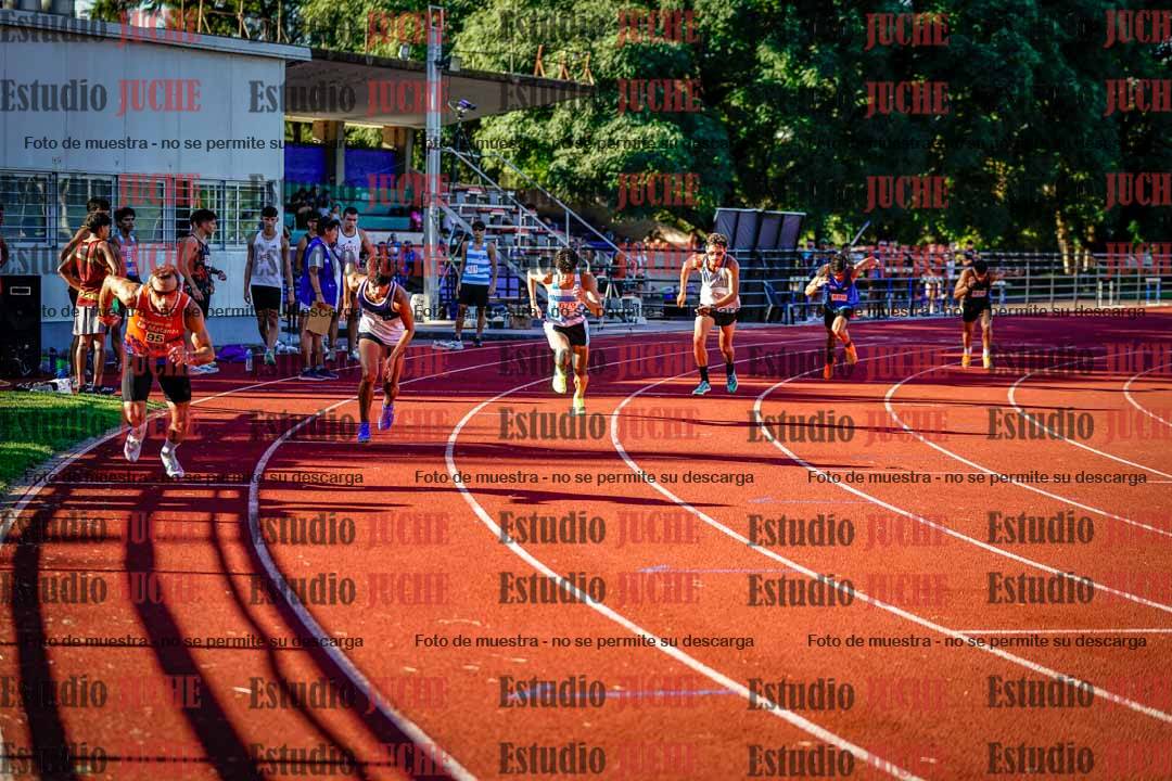 Fotos de los 800 m llanos de varones