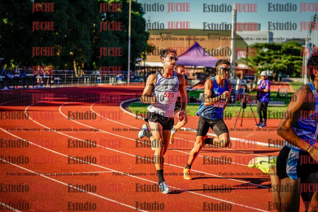 Fotos de los 800 m llanos de varones