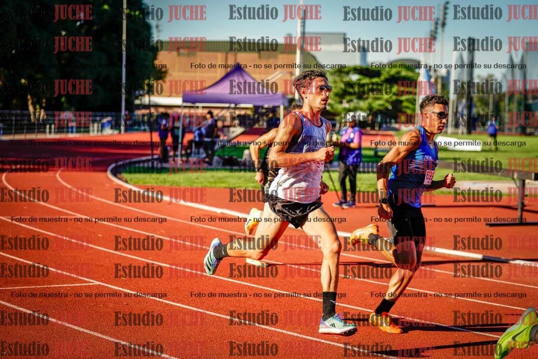 Fotos de los 800 m llanos de varones