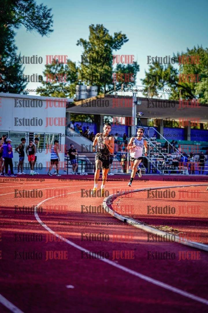 Fotos de los 800 m llanos de varones