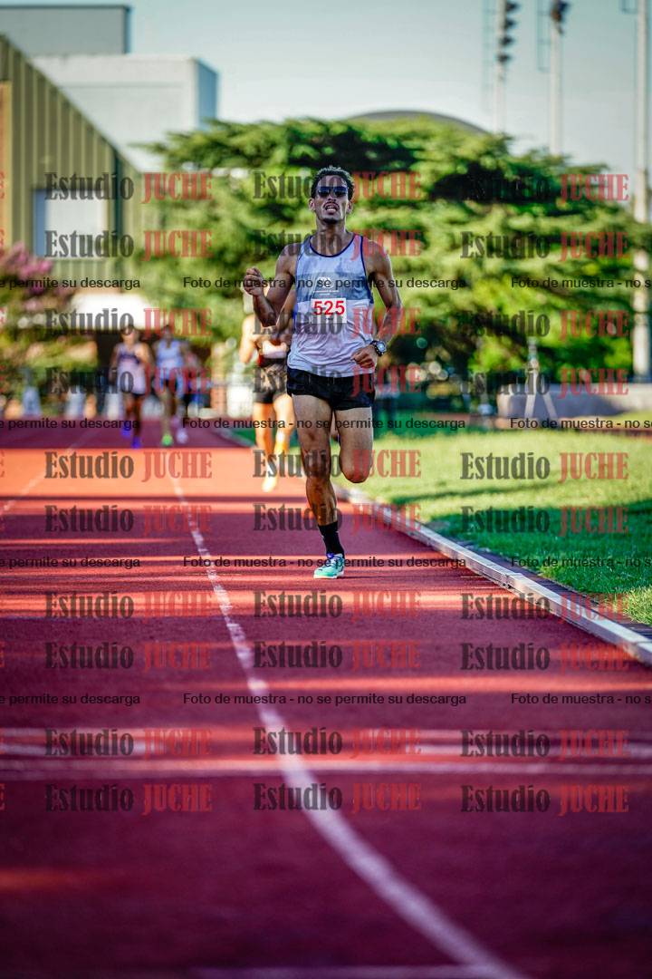 Fotos de los 800 m llanos de varones