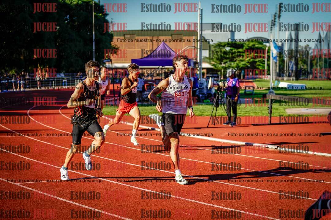 Fotos de los 800 m llanos de varones