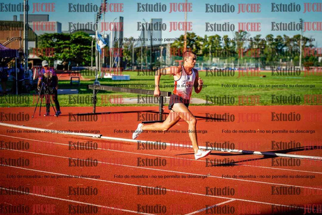 Fotos de los 800 m llanos de varones