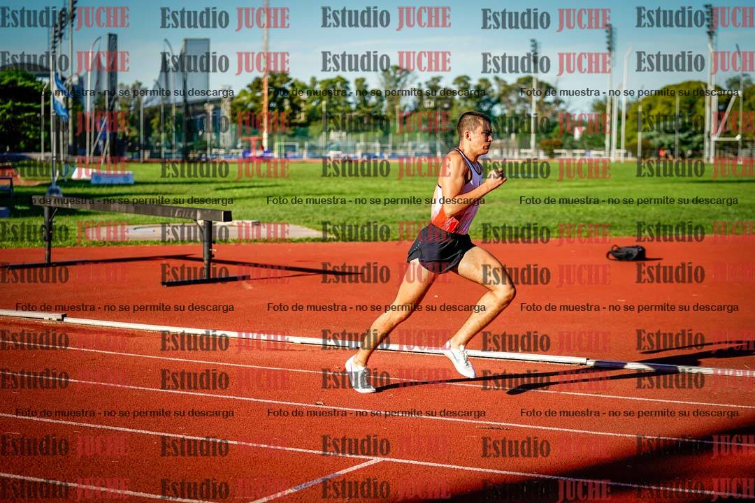 Fotos de los 800 m llanos de varones