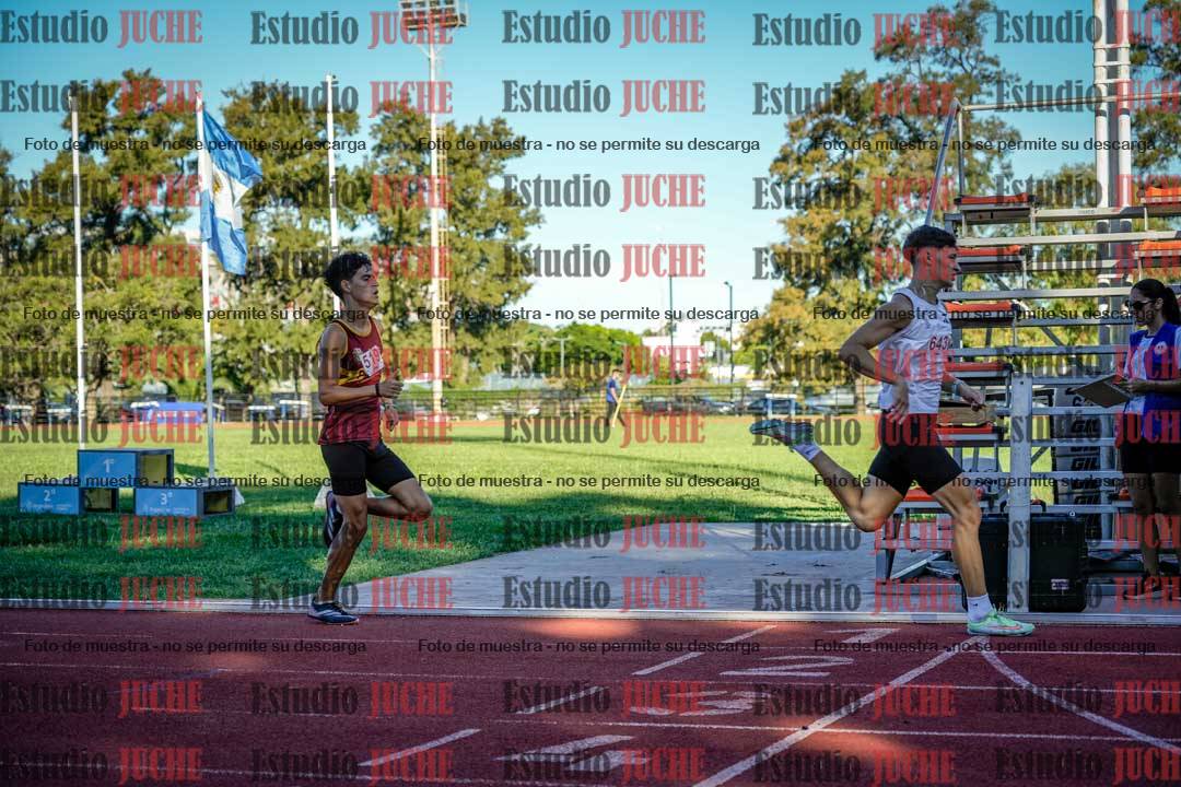 Fotos de los 800 m llanos de varones