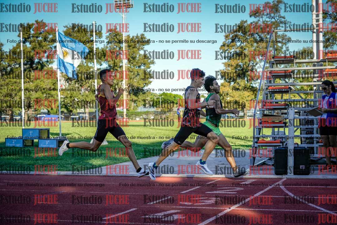 Fotos de los 800 m llanos de varones