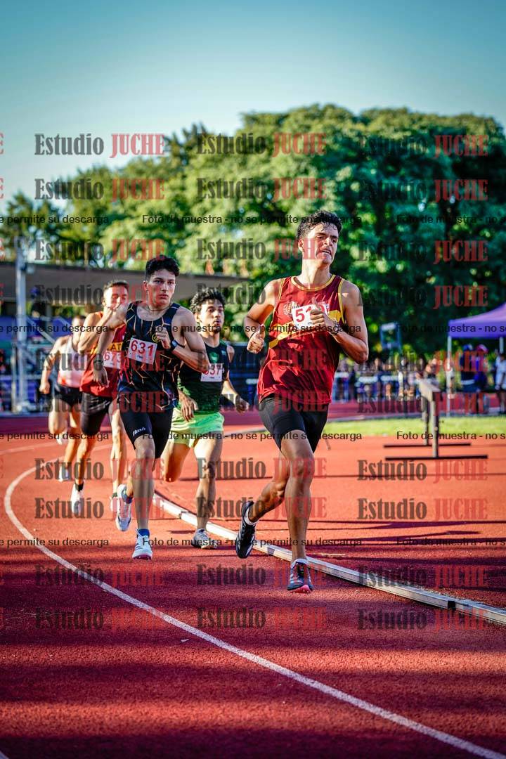 Fotos de los 800 m llanos de varones