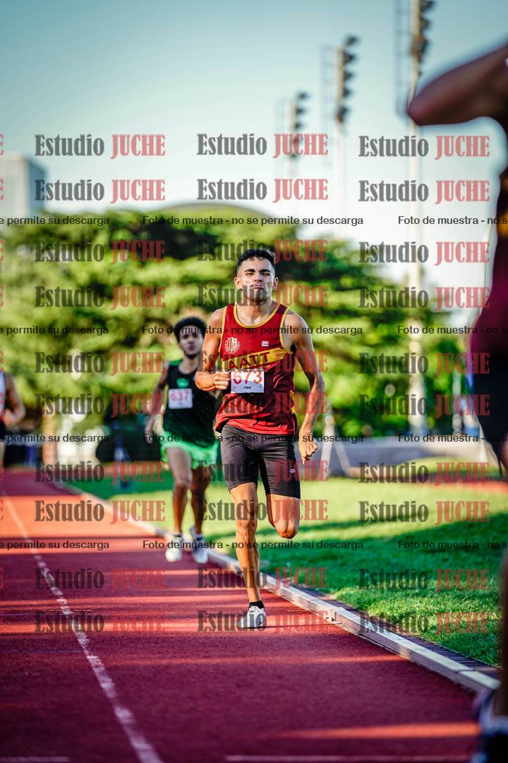 Fotos de los 800 m llanos de varones