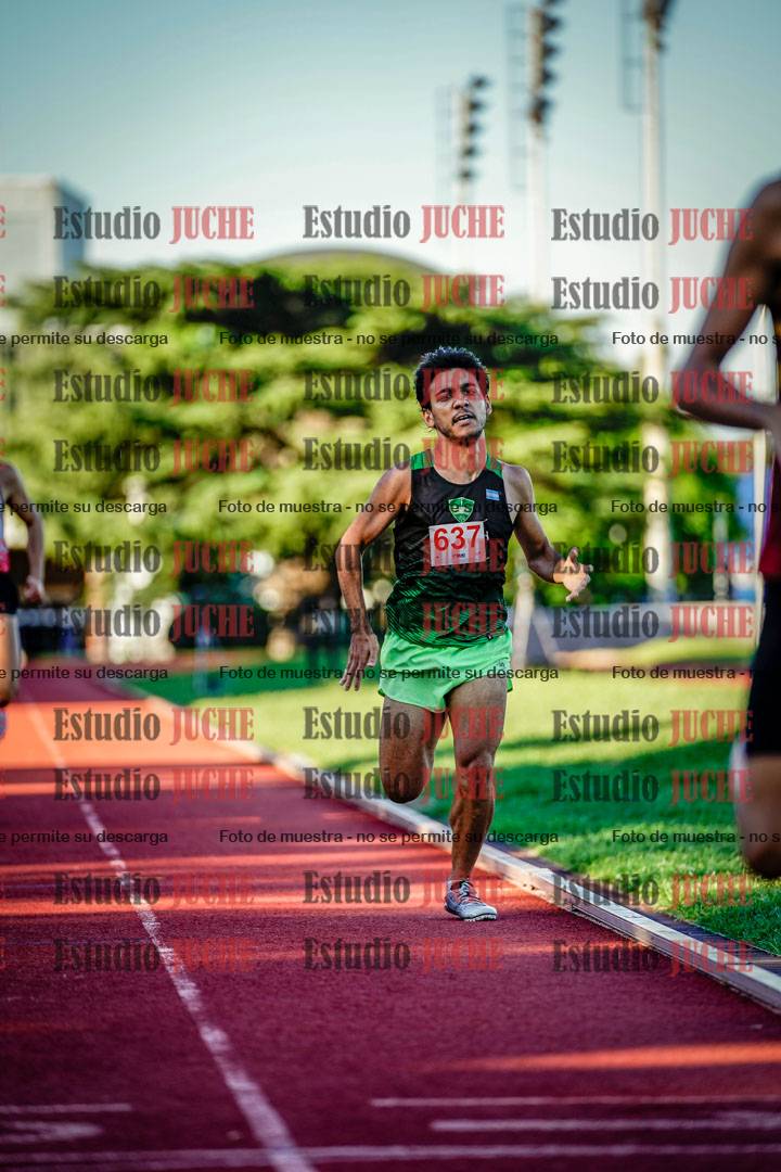 Fotos de los 800 m llanos de varones