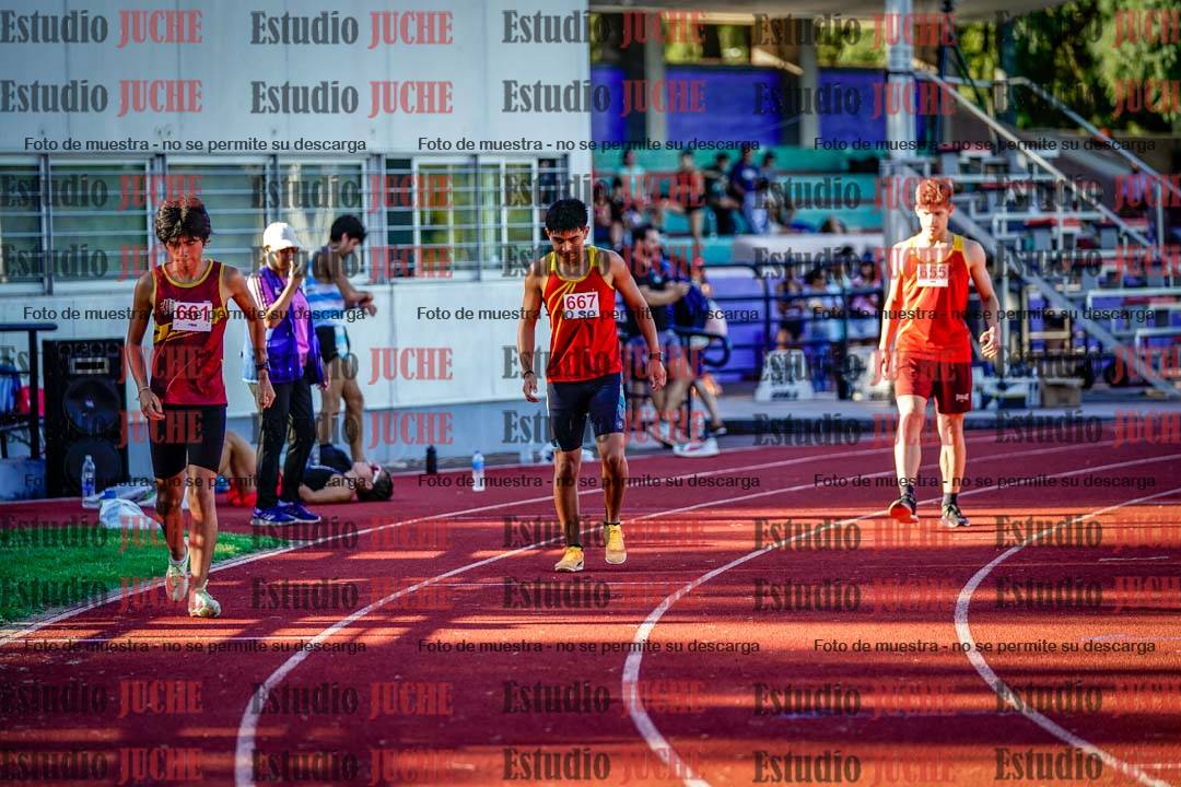 Fotos de los 800 m llanos de varones