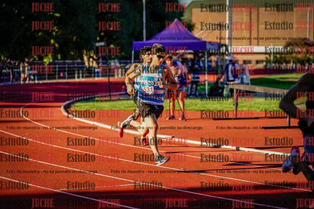 Fotos de los 800 m llanos de varones