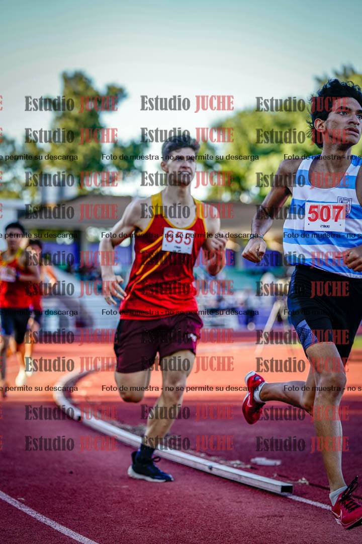 Fotos de los 800 m llanos de varones