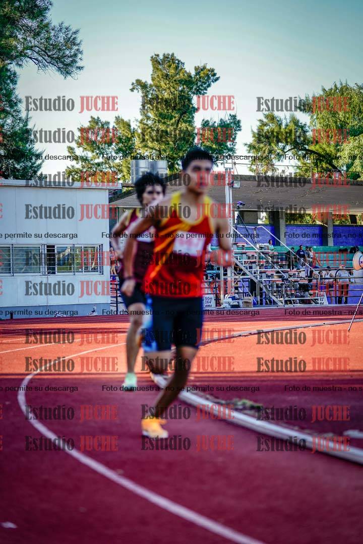 Fotos de los 800 m llanos de varones